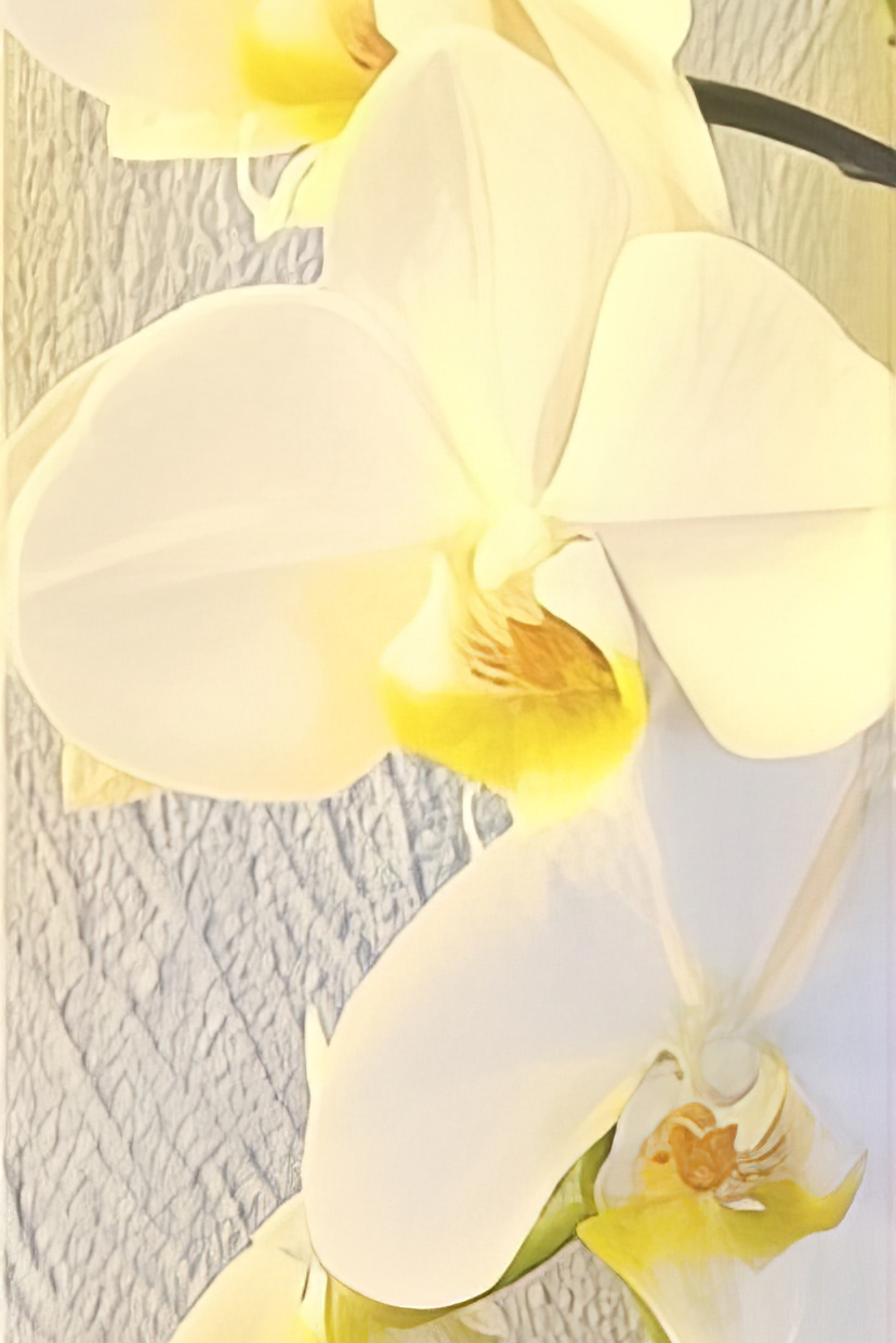 Photo 953079