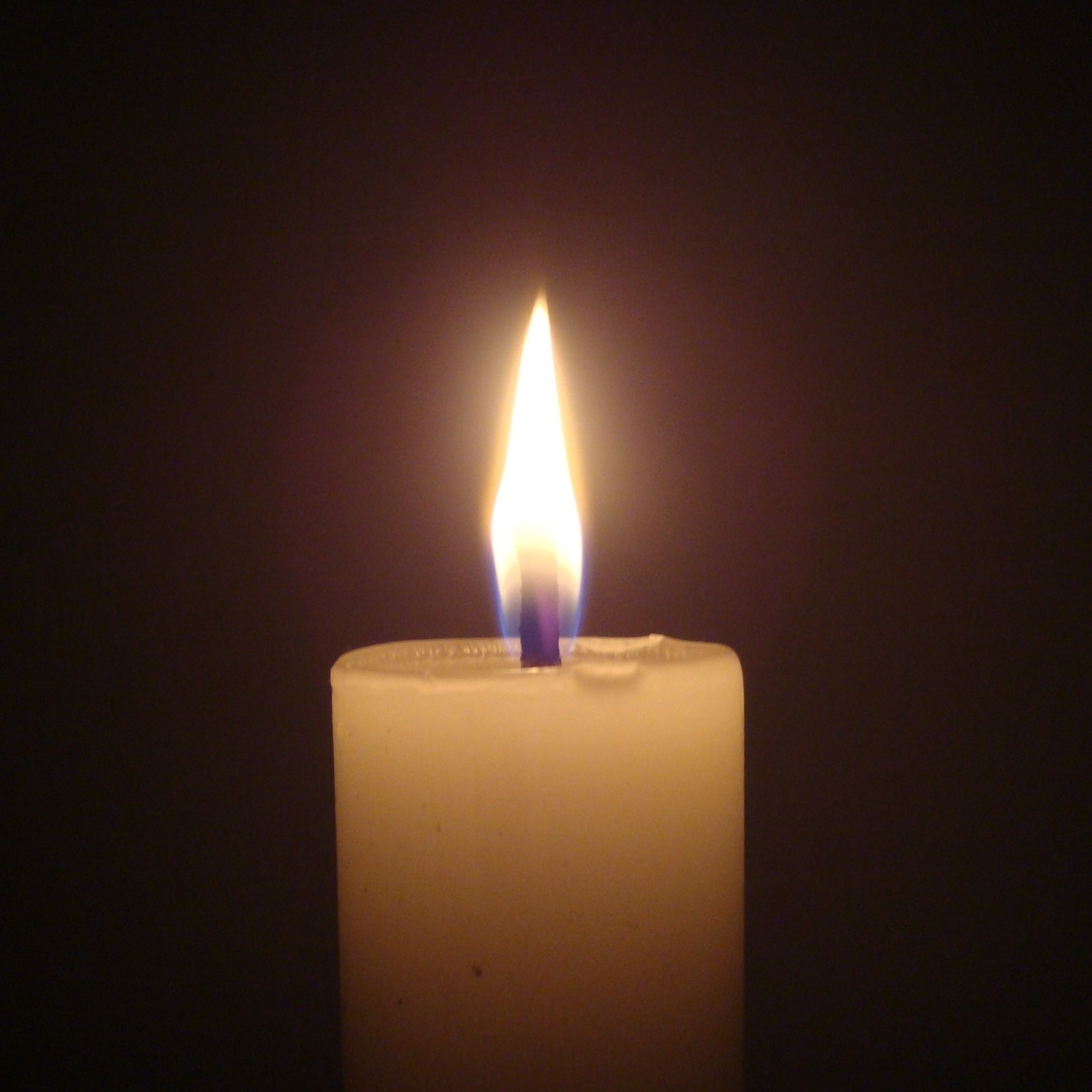 Photo d’Hector COOL